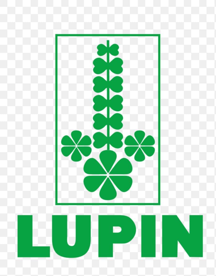 Lupin