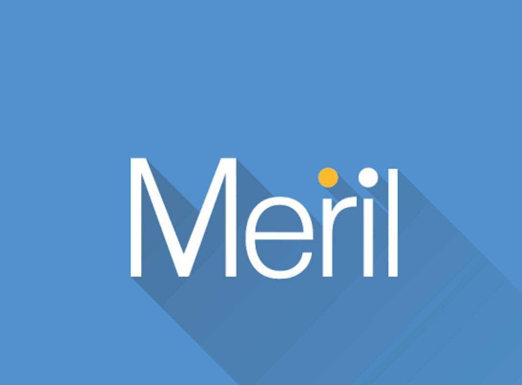 Meril life sciences